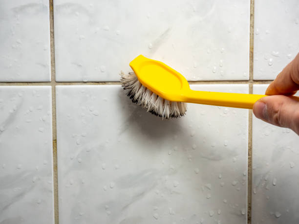 Best Basement Mold Remediation in Dupo, IL