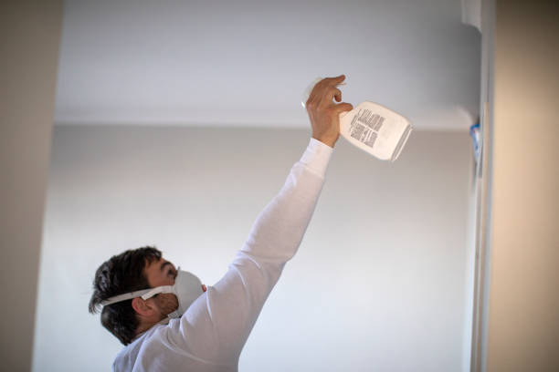 Best White Mold Remediation in Dupo, IL