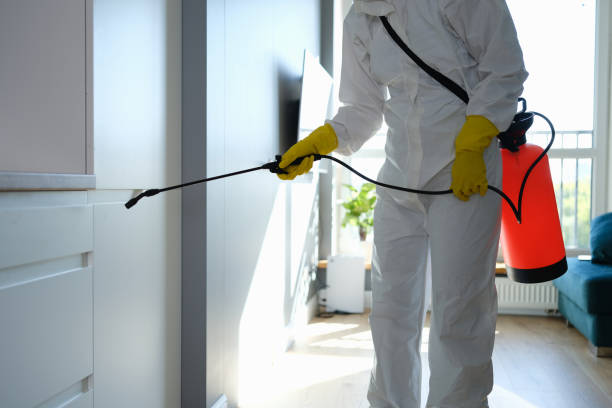 Best Health and Safety Mold Remediation in Dupo, IL