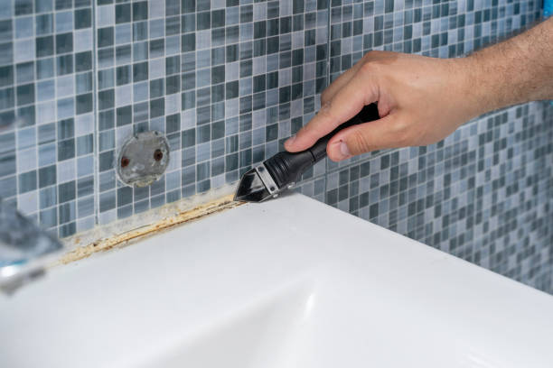 Best Insurance-Related Mold Remediation in Dupo, IL